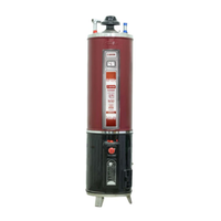 IZONE GEYSER TWIN (ELEC & GAS) 35GLN Supreme Maroon