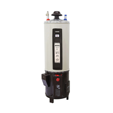 IZONE GEYSER TWIN (ELEC & GAS) 25GLN Supreme